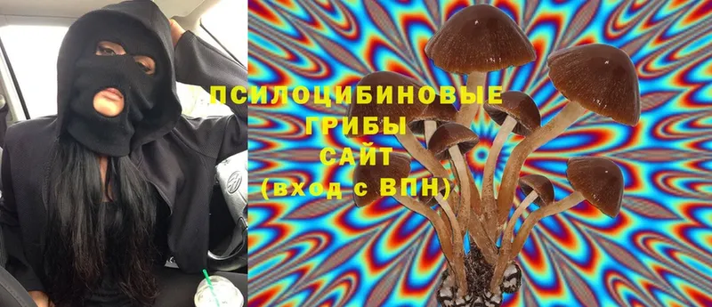 Галлюциногенные грибы MAGIC MUSHROOMS  продажа наркотиков  Углич 